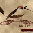 MKDA Kontent 013 Dragon Fly