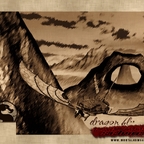 MKDA Kontent 123 Dragon Fly