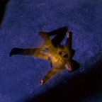 MKC Episode01 Screen009 Takeda Scorpion